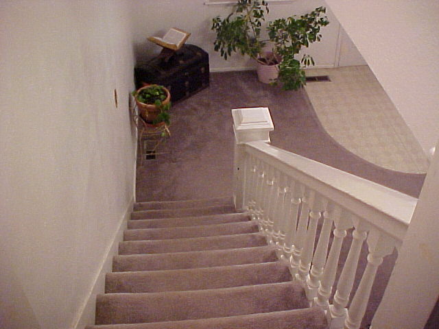 pico25b.jpg
