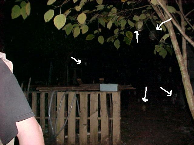 marysportal2.jpg