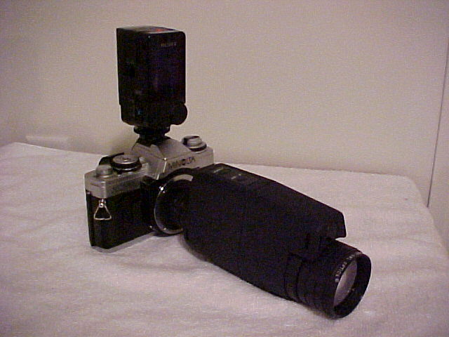 pico25b.jpg